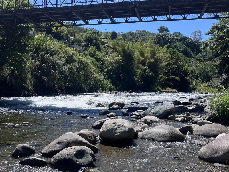 A river and green banks viewed from a bridge
