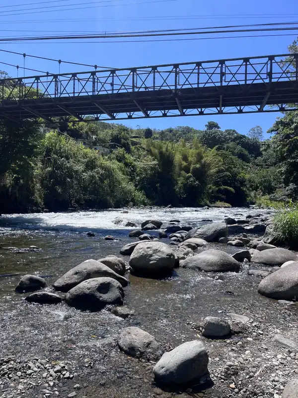 A river and green banks viewed from a bridge
